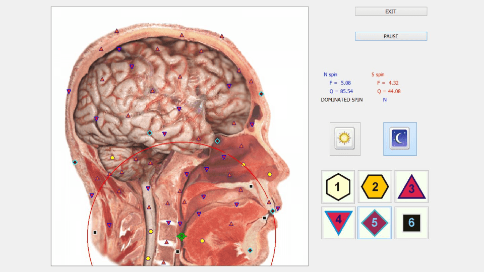 Full Body Diagnostic Test